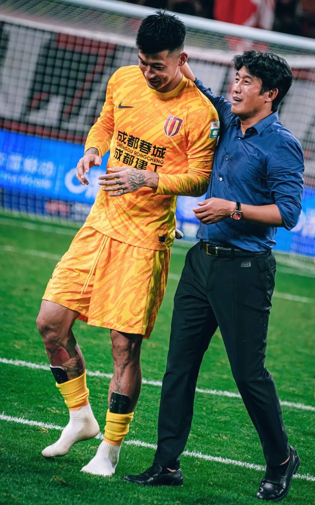 佳的观赛体 佳的观赛体